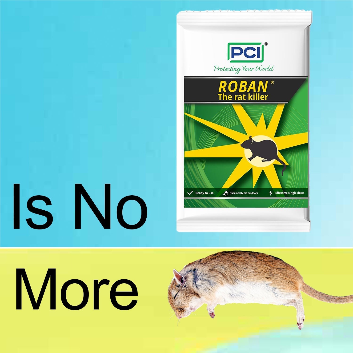 100gm PCI Roban the Rat Killer (Brown) BIG