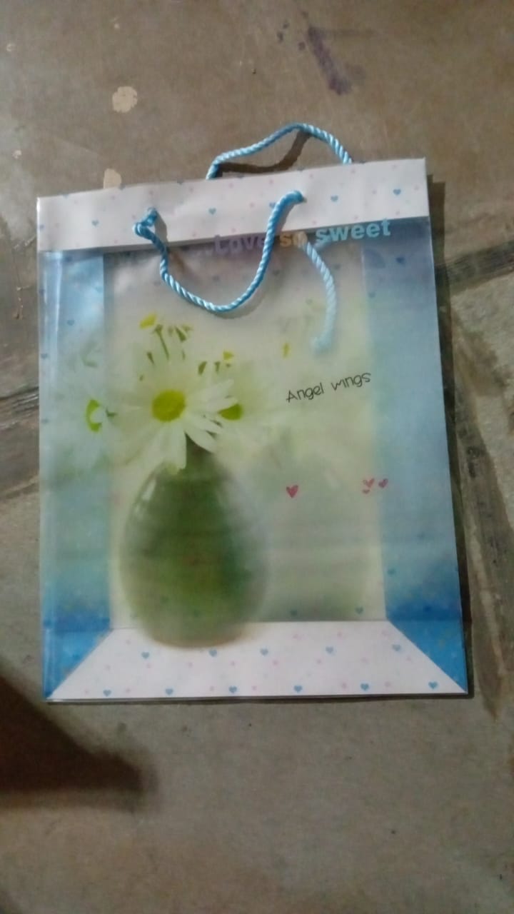 Plastic Transparent Bag With Handle