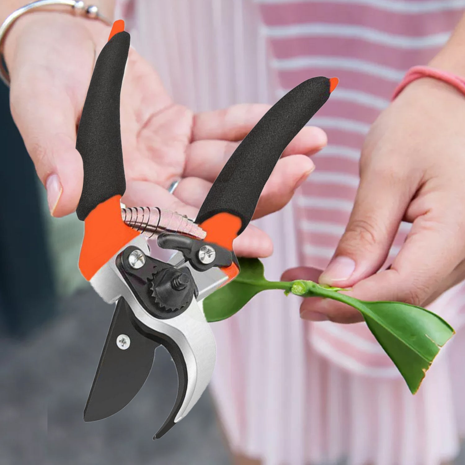 Garden Shears Sharp Cutter Pruners Scissor, Pruner