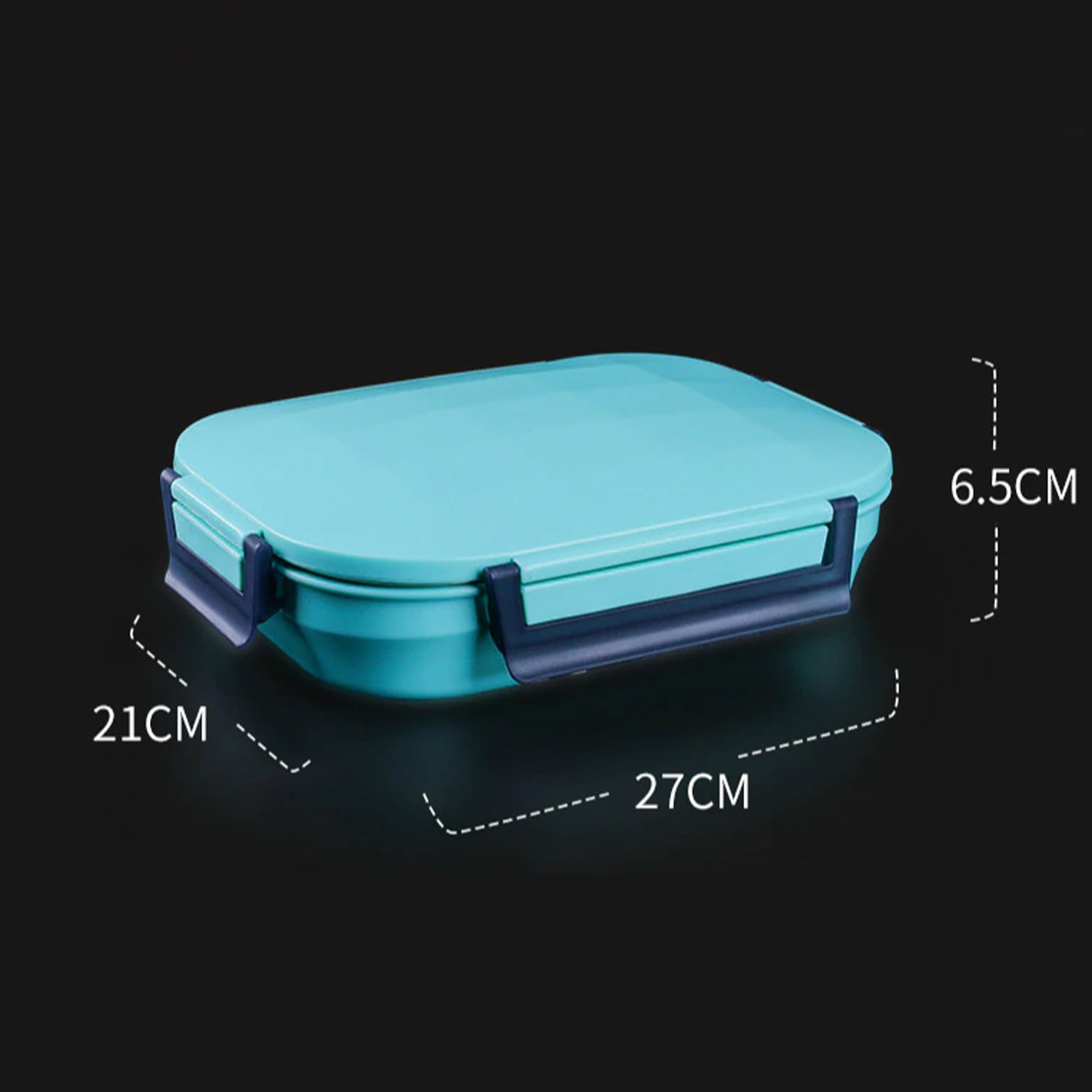 Lunch Box for Kids and adults, Stainless Steel Lunch Box with 4 Compartments.