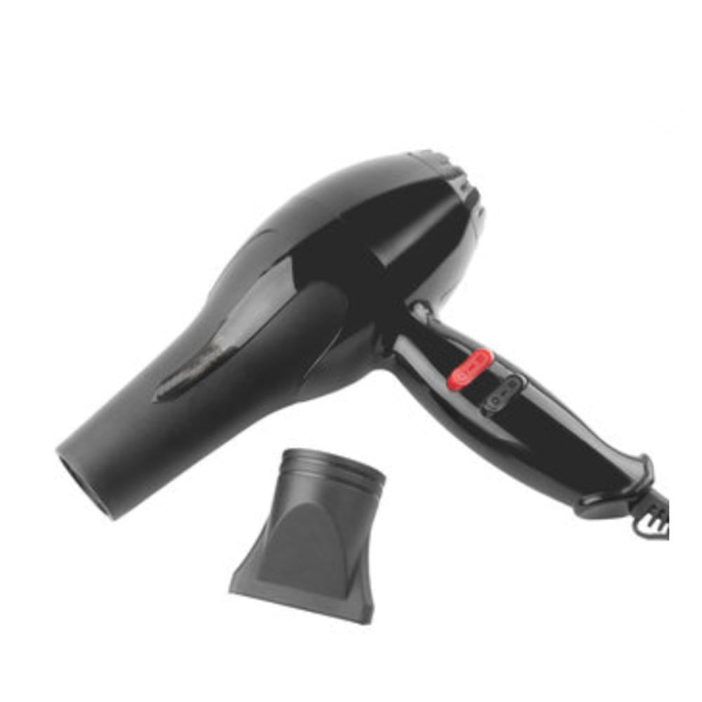 1500 Watts Professional Hair Dryer 2888 (Black)