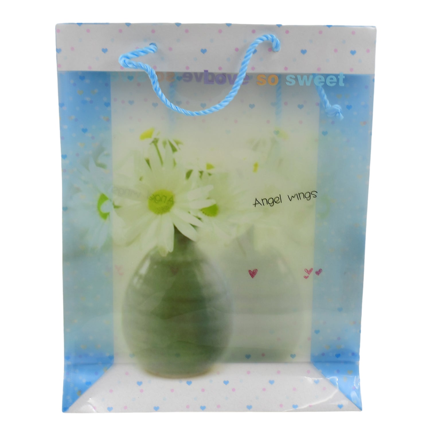 Plastic Transparent Bag With Handle (1 Pc / 34 x 26 Cm)