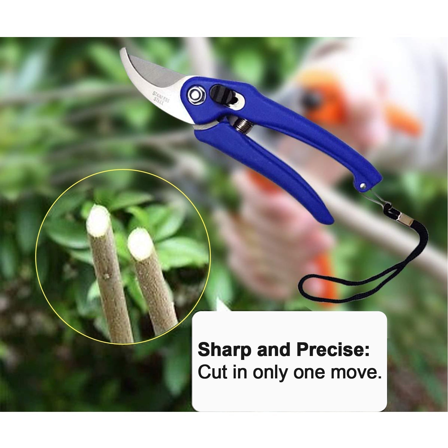 Garden Shears Pruners Scissor for Cutting Branches, Flowers, Leaves, Pruning Seeds