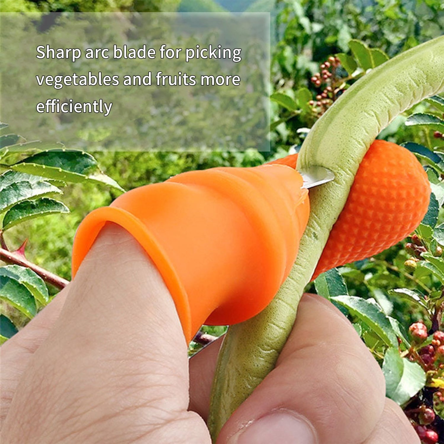 Vegetable Thumb Cutter and tool 5pc Set with effective sharp cutting blade System