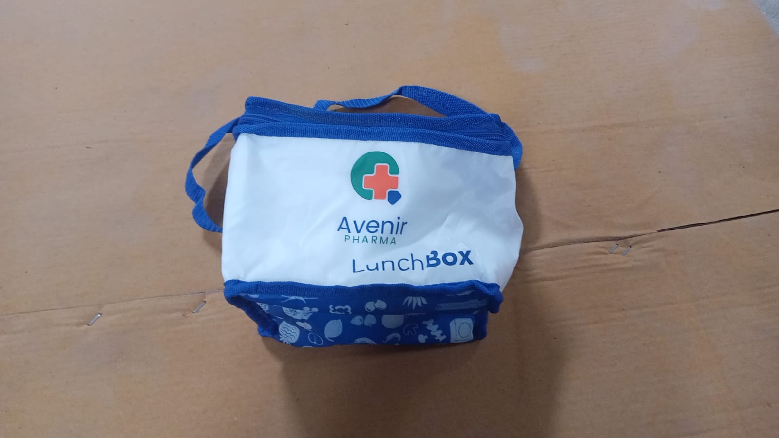 Lunch Bag, Waterproof Insulated Lunch Bag Women Men kids Reusable Lunch Box, Snack Picnic Bag, Mini Lunch box Bag for School Swim Fishing Picnic Small