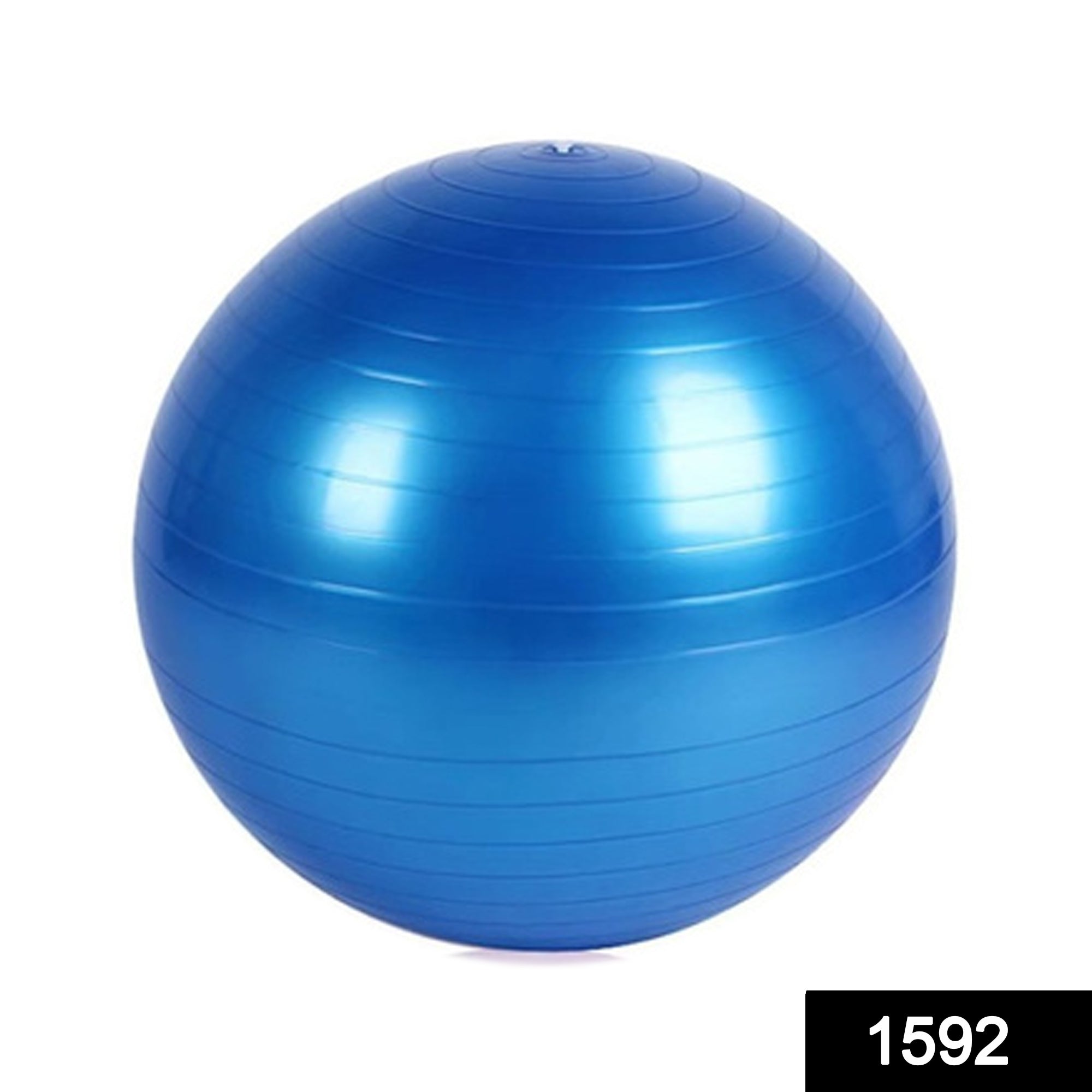 Anti-Burst Exercise Heavy Duty Gym Ball (Multicolour) (75Cm)