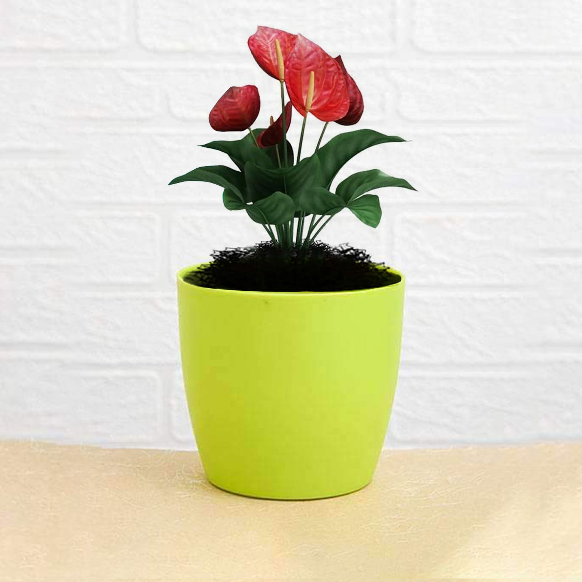 Flower Pots Round Shape For Indoor / Outdoor Gardening