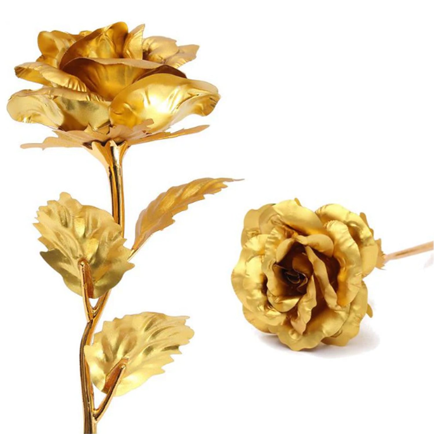 B Golden Rose used in all kinds of places like household, offices, cafe's, etc. for decorating and to look good purposes and all.