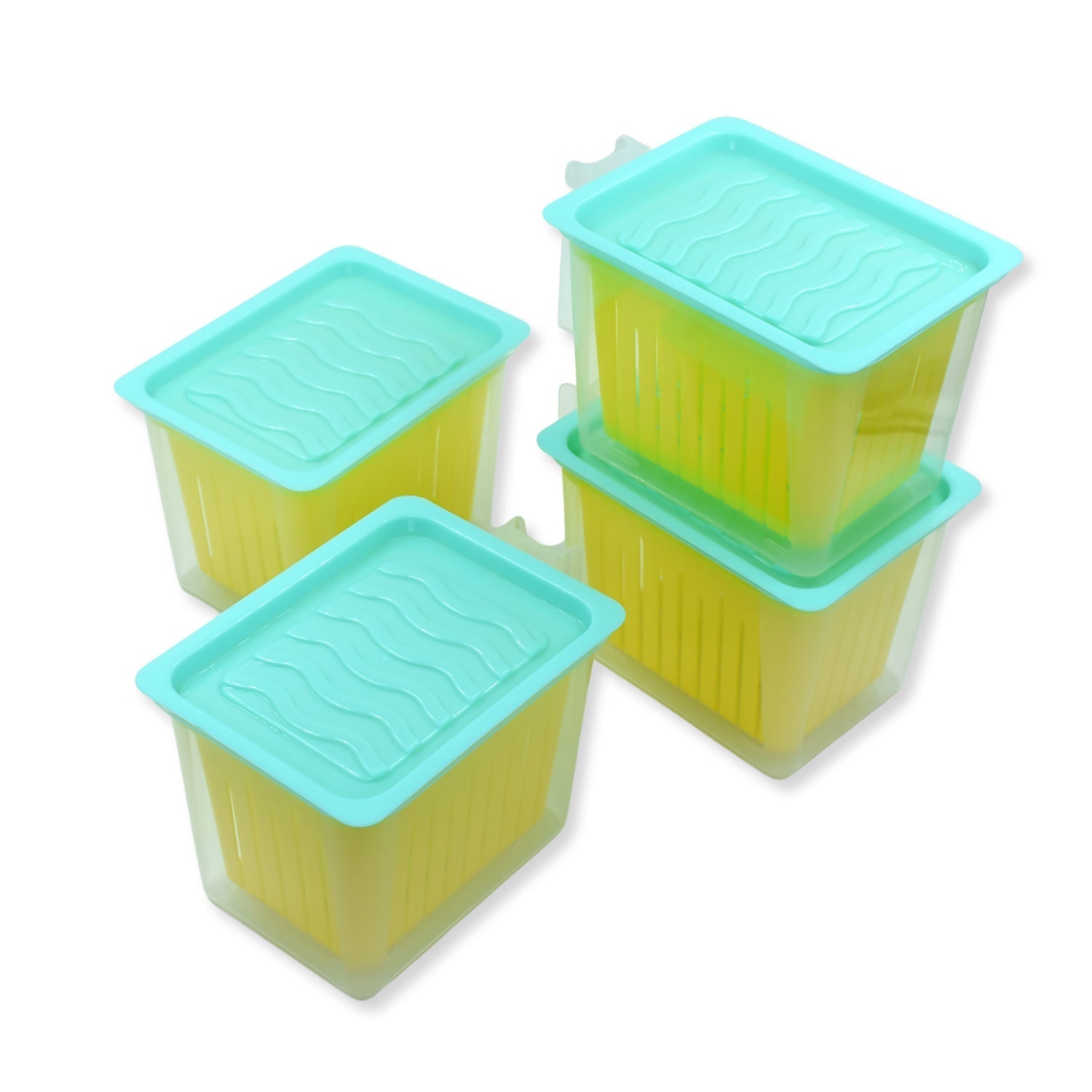 Fridge Storage Containers with Handle Plastic Storage Container for Kitchen(4 Pcs Set)