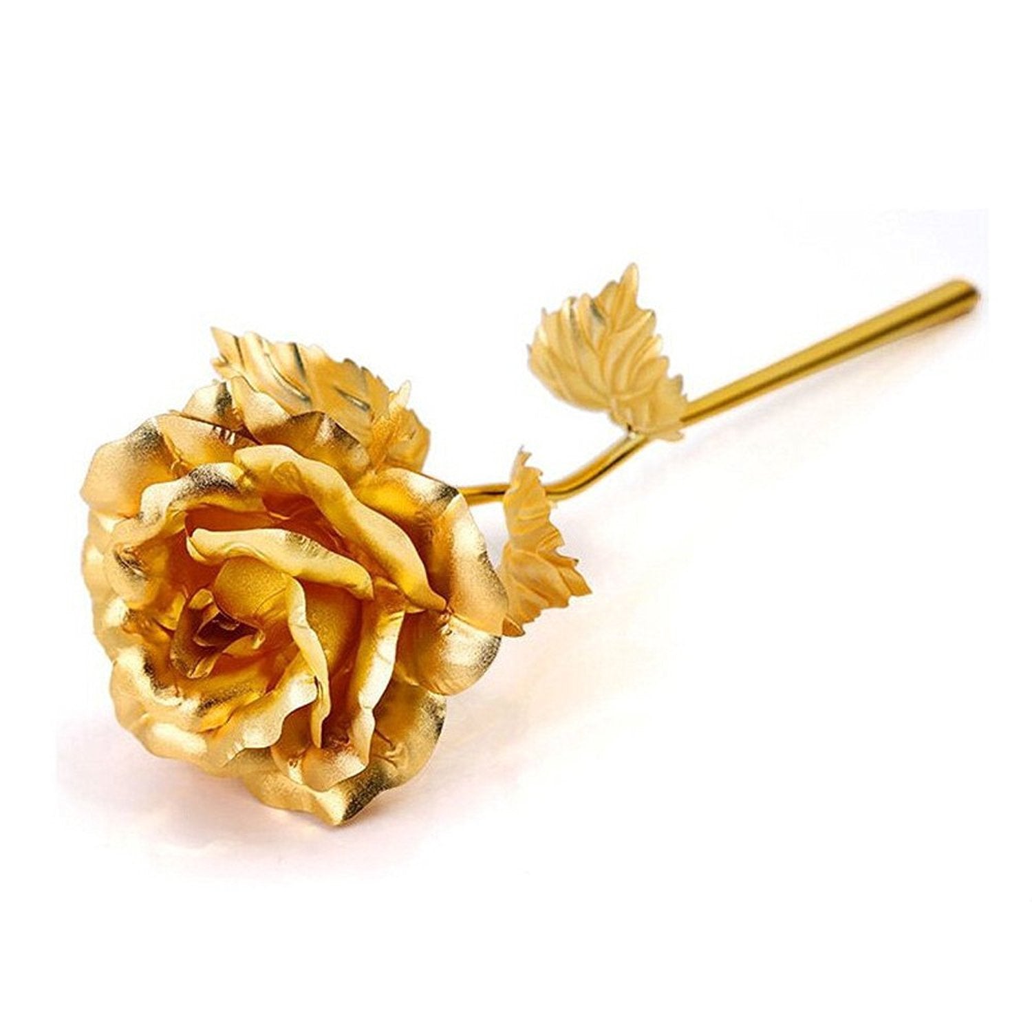 B Golden Rose used in all kinds of places like household, offices, cafe's, etc. for decorating and to look good purposes and all.