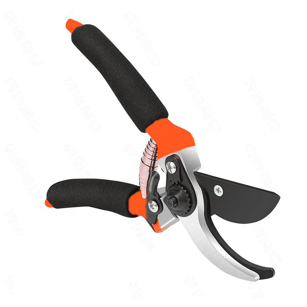 Garden Shears Sharp Cutter Pruners Scissor, Pruner