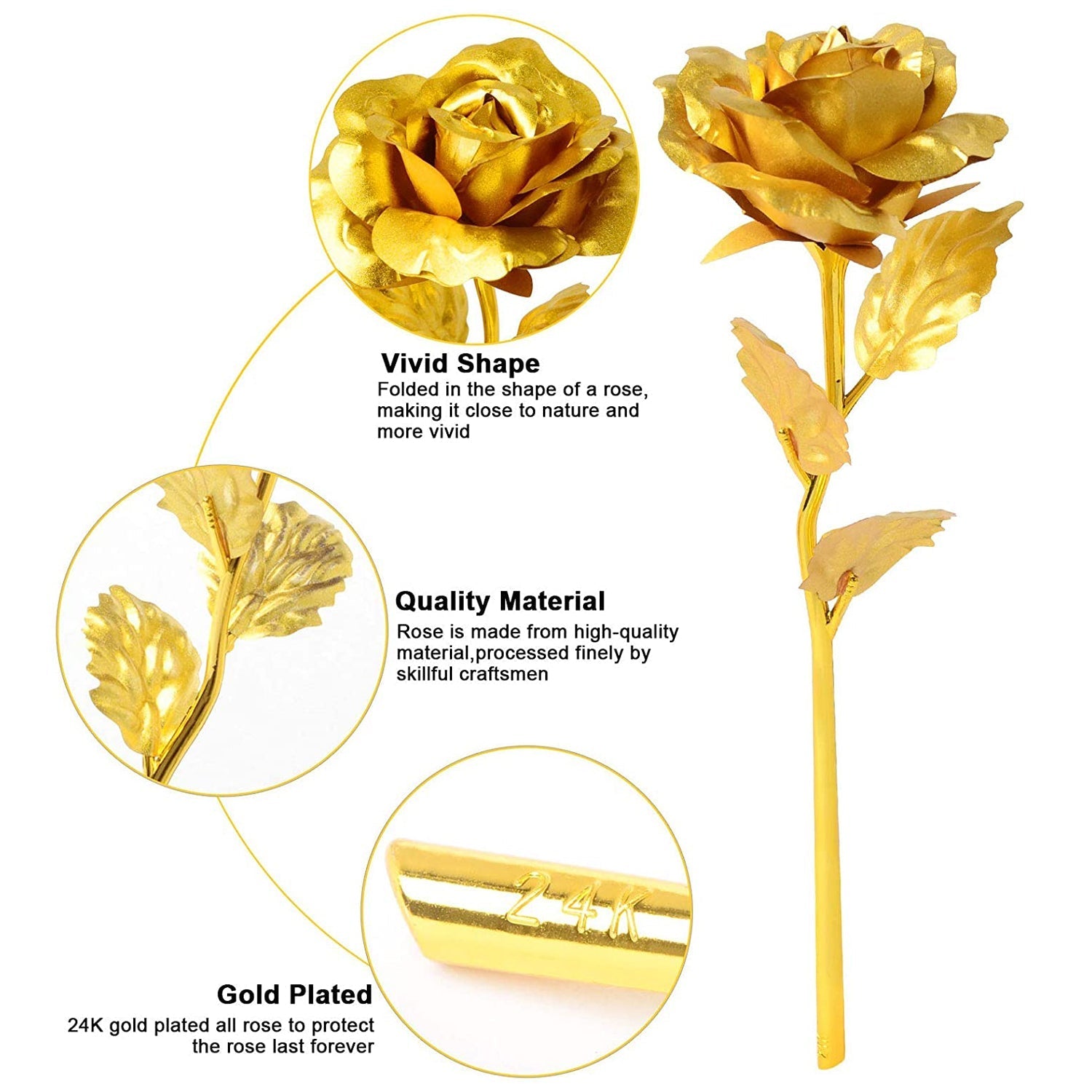 B Golden Rose used in all kinds of places like household, offices, cafe's, etc. for decorating and to look good purposes and all.